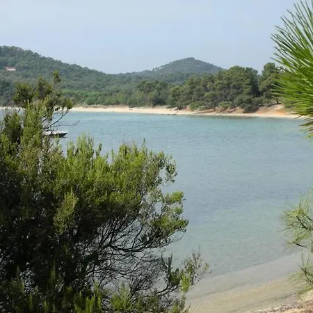 Mobil Avec Terrasse A - Api-1-52-485 营地 *